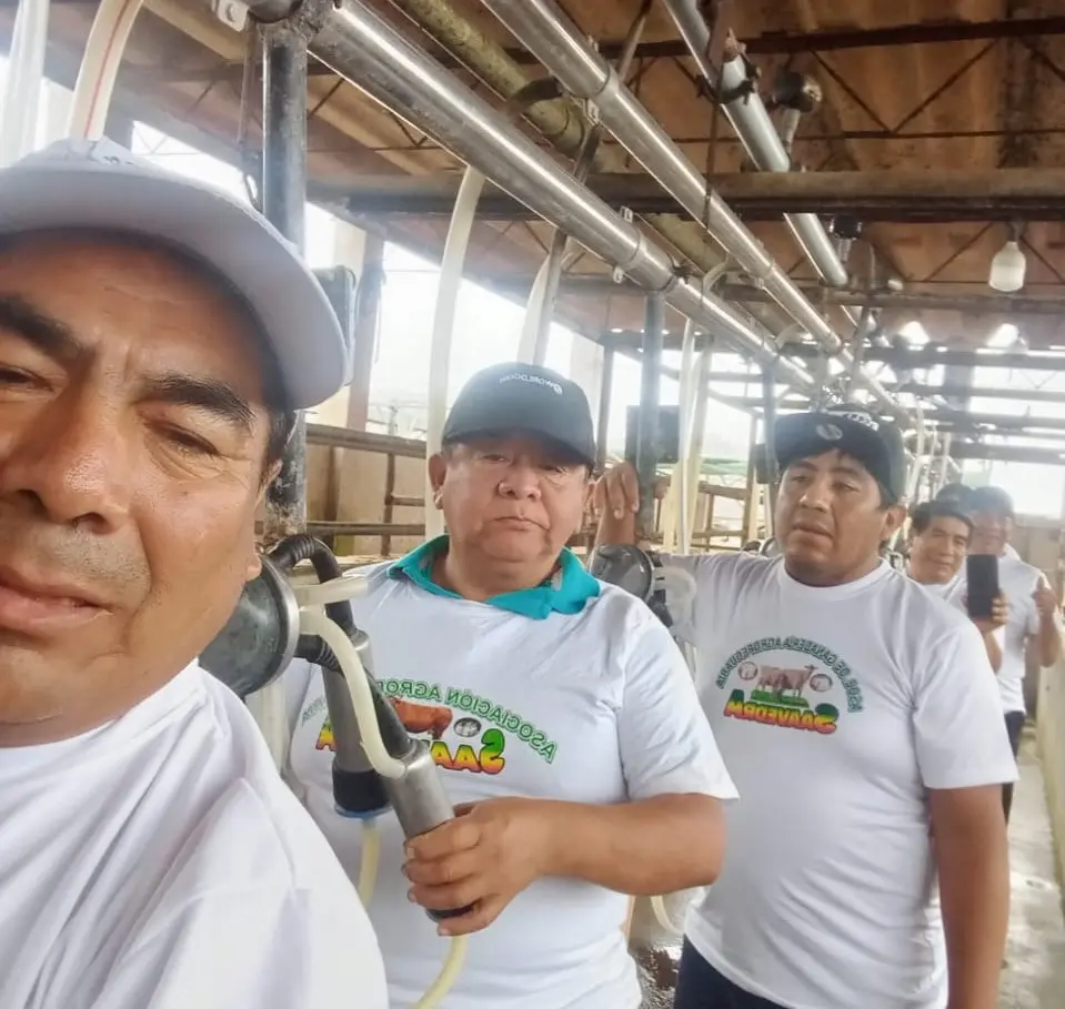 cuidado vacuno