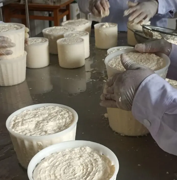 Elaboración de quesos